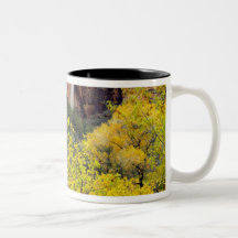 La cascade éphémère verse hors de la fente en fala tasse à café