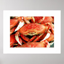 La chaussure de cheval marche en crabe la photogra poster