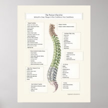 La chiropractie médicale d'affiche patiente de lis