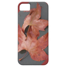 La chute laisse le cas iPhone5 Étuis iPhone 5