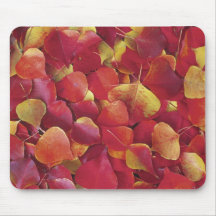 La collection d'automne d'automne tombée part de M Tapis De Souris