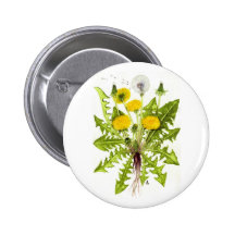 La collection de pissenlit badges