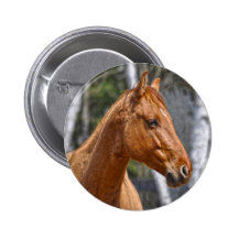 La conception animale équine des Cheval-amants Pin's Avec Agrafe