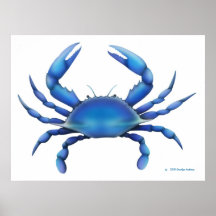 La copie de crabe bleu posters