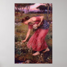 La cueillette de narcisse fleurit l'affiche