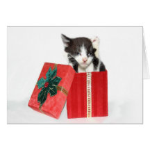 La curiosité a obtenu le chaton de Noël Carte De Vœux