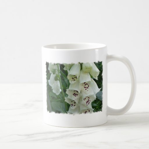 La digitale blanche fleurit la tasse de café