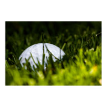 la dissimulation de boule de golf se remélangent posters
