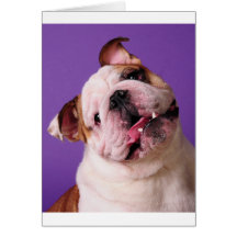 La douceur est un bouledogue carte de vœux