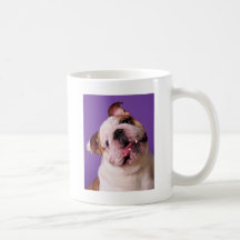 La douceur est un bouledogue tasse