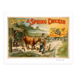 La farce drôle de Selden, un jeu de poulet de ress Cartes Postales