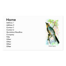 La fauvette d'Audubon Modèle De Carte De Visite