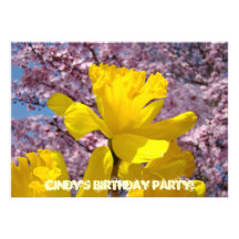 La fête d'anniversaire d'invitations carde des jon