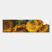 La fleur - tournesol - les soleils se sont levées autocollant pour voiture