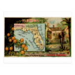 La Floride, 1889 cartes vintages Carte Postale
