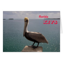 La Floride verrouille le pélican de Brown Cartes De Vœux