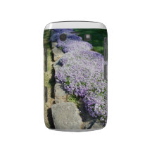 "La frontière " Coque Blackberry