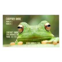 La grenouille observe le carte de visite