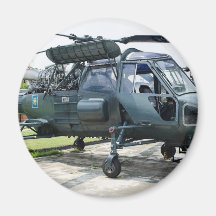 La guêpe de Westland Aimants
