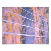 La guitare basse ficelle l'oeil grunge de tigre de tirages photo