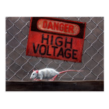 La haute tension de rat se connectent la carte pos