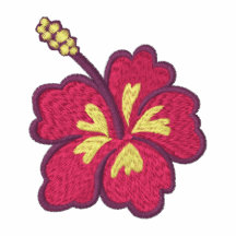 La ketmie fleurit la veste brodée des femmes