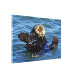 La loutre de mer a enveloppé la copie de toile impressions sur toile