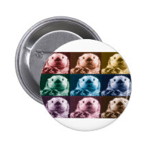 La loutre vous voient badges