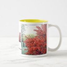 La lueur chaude de l'automne tasse