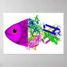 La Manche de poisson de potassium Affiches