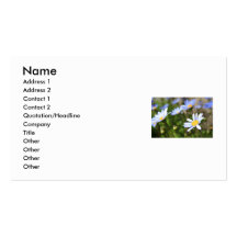 La marguerite des prés bleue fleurit le carte de v