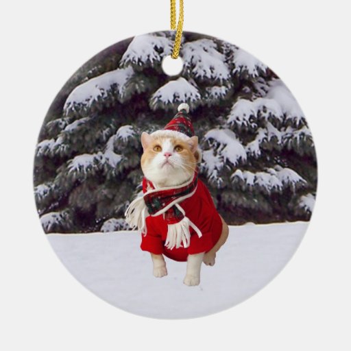 La merveille de Noël Ornement