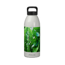 La nature verte pousse des feuilles espace libre n bouteilles d'eau