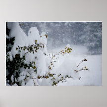 La neige a couvert l'arbre posters
