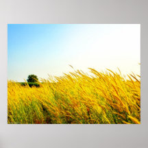 La "nouvelle vie copie de photographie dans Éden" Posters