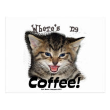 Là où est mon chat de café carte postale