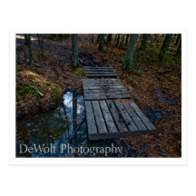 La passerelle de Martha Carte Postale