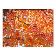 La photographie imprime la nature de feuille d'aut