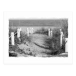 La plage de BW la Floride roped la photo dunaire d Cartes Postales