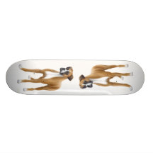 La planche à roulettes de boxeur