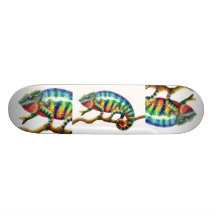 La planche à roulettes de caméléon
