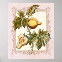 La poire a porté des fruits décor chic de pays de  affiches