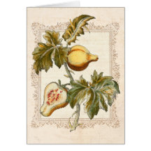 La poire a porté des fruits solanum par monsieur J Cartes De Vœux