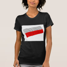 la Pologne