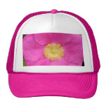 La prune de plage assez rose s'est levée casquette de camionneur