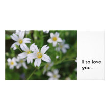 La région boisée sauvage fleurit, loveyou d'I ains Cartes Avec Photo