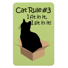 La règle de chat # 3 ajustements d'I dans elle I s Magnet