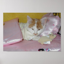 La Reine Kitty Posters