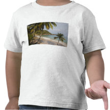 La République Dominicaine, côte du nord, Abreu, Pl T-shirt