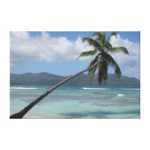La République Dominicaine, Samana Toile Tendue